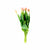 Paquete 10 Tulipanes Rosado