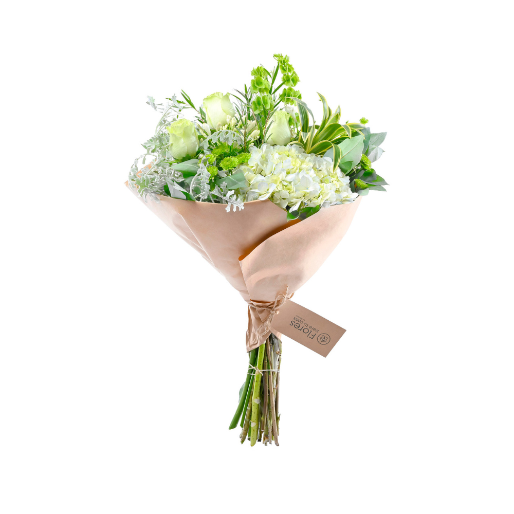 Ramo Moderno con Hortensia y Rosa Verde