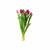 Paquete 10 Tulipanes Lila