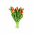 Paquete 10 Tulipanes Naranja