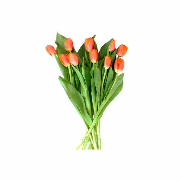 Paquete 10 Tulipanes Naranja