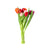 Suscripción 10 Tulipanes Variados