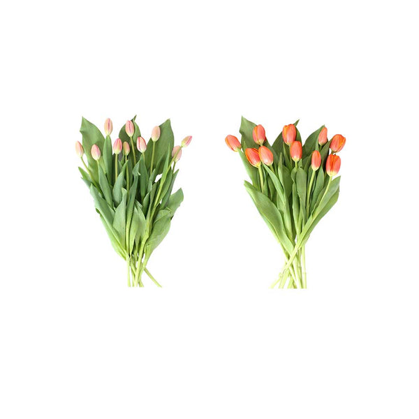Suscripción 10 Tulipanes Naranja y Rosado