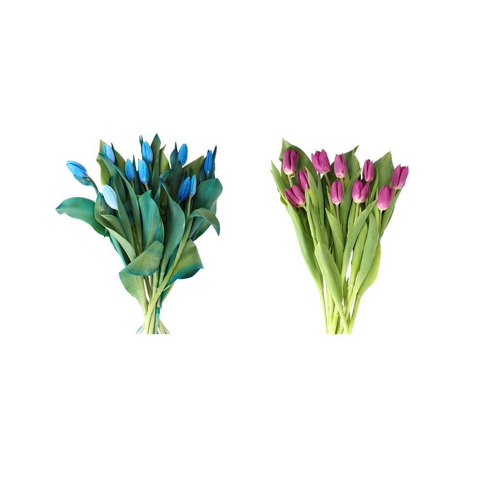 Suscripción 10 Tulipanes Lila y Azul